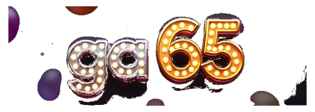 ga 65 logo
